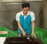 植物繁殖技術實習(農園生產系)