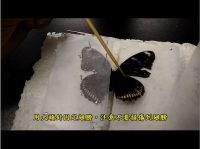 生物學實驗與操作技術(生物科技系)